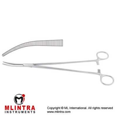 Zenker Dissecting and Ligature Forcep Curved Stainless Steel, 29.5 cm - 11 1/2" 